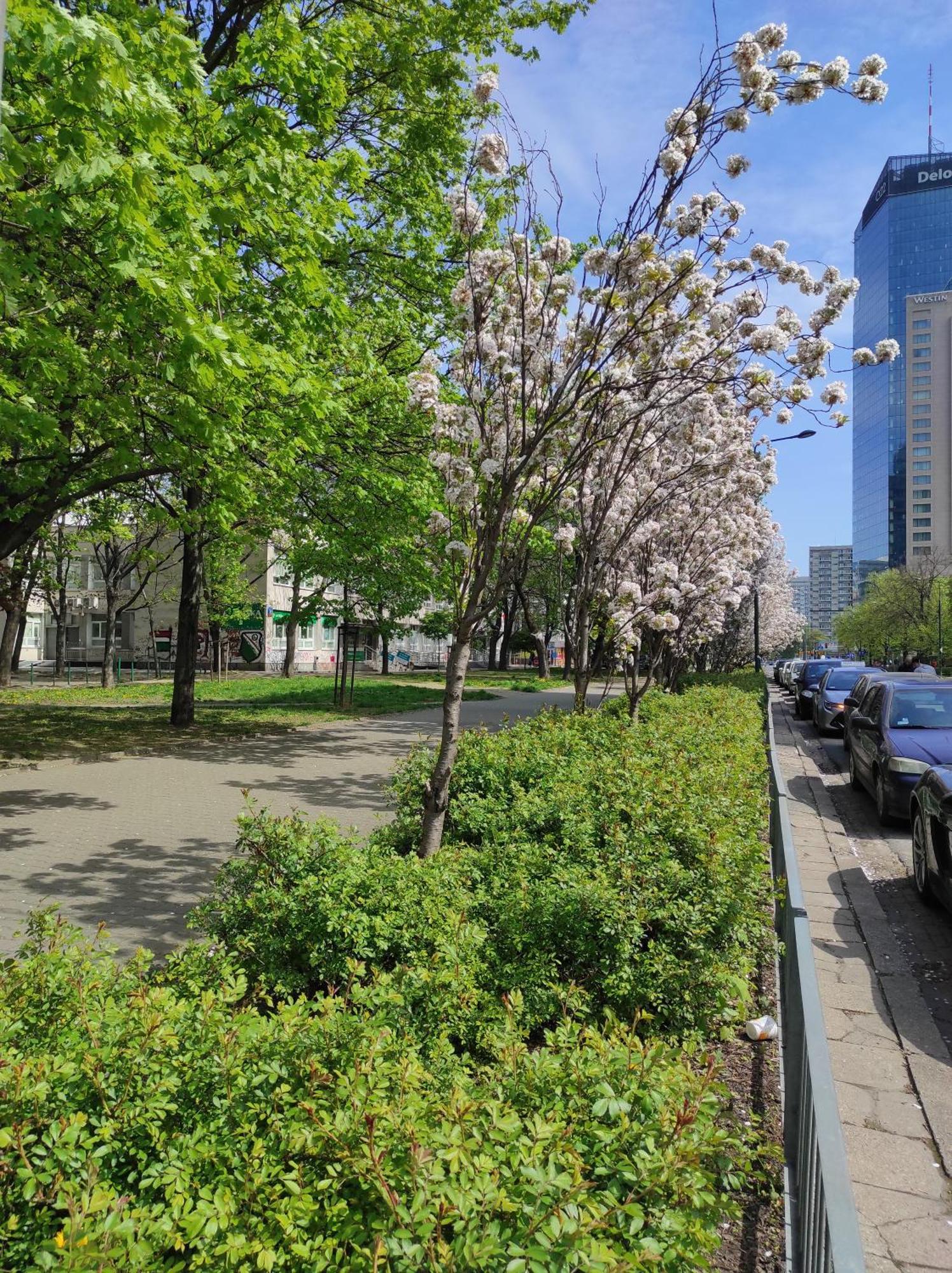 Bosa Warsaw Centrum Apartment Grzybowska39 المظهر الخارجي الصورة